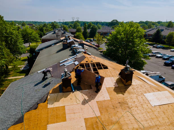 Trusted Storm Damage Roof Repair service in Houston, DE - Brentwood Metal Roofing